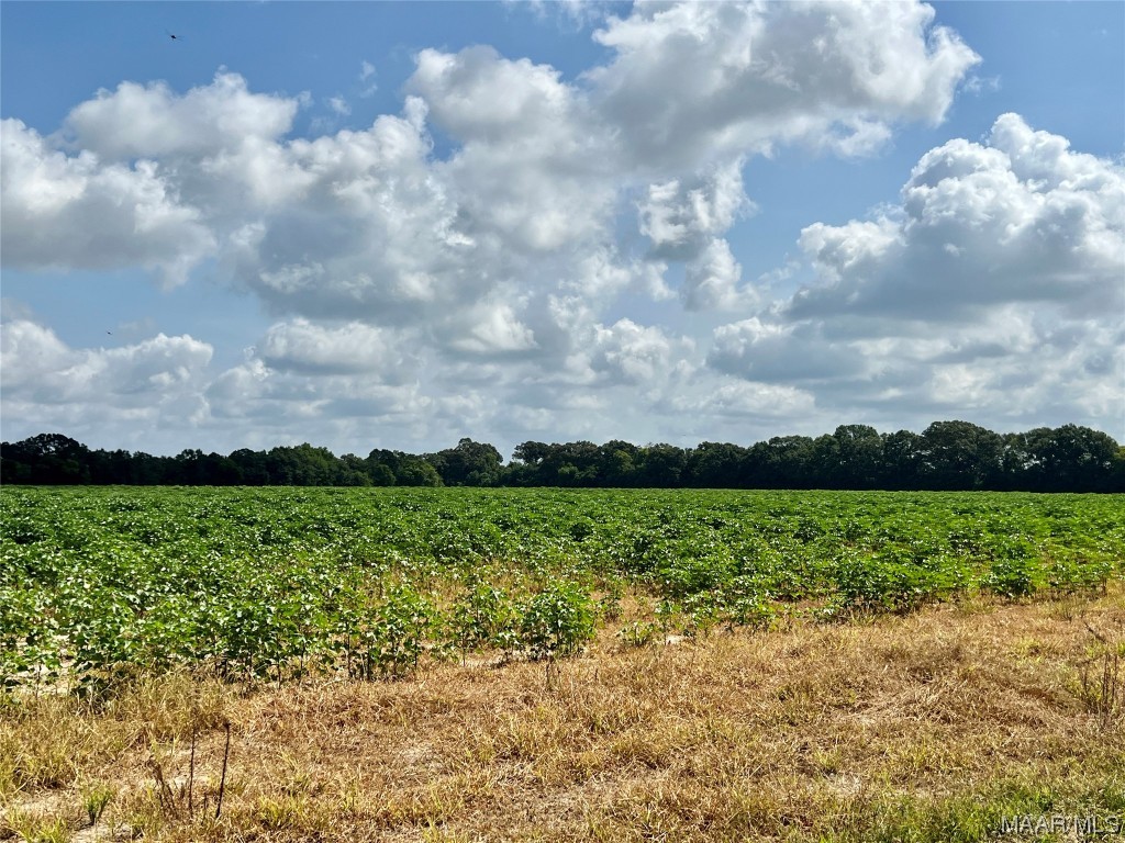 318.5acre Goose Hollow Road