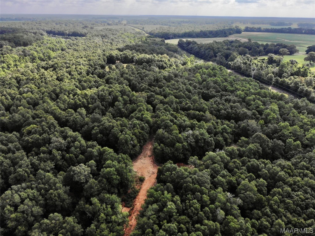318.5acre Goose Hollow Road