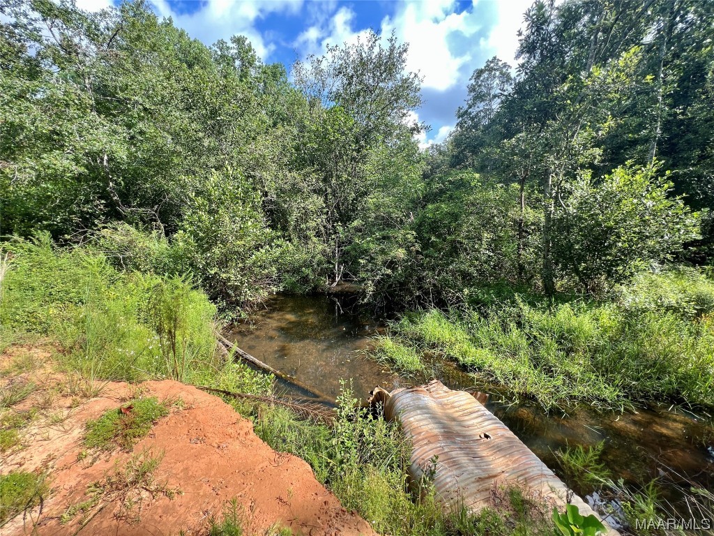 318.5acre Goose Hollow Road