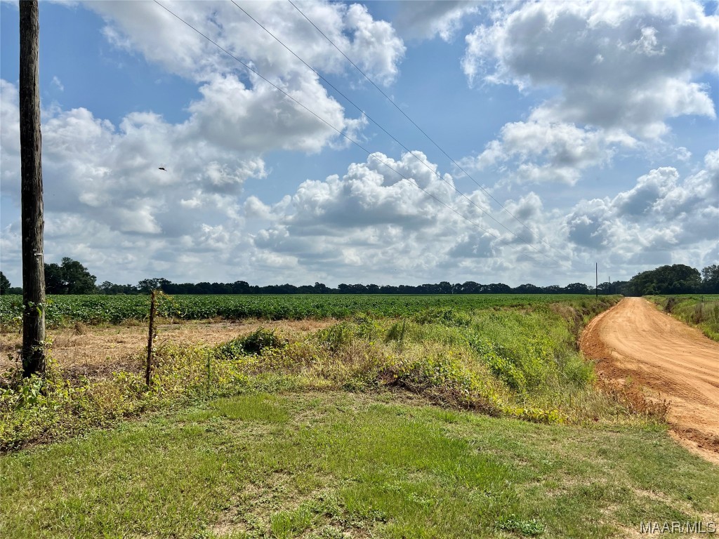 318.5acre Goose Hollow Road