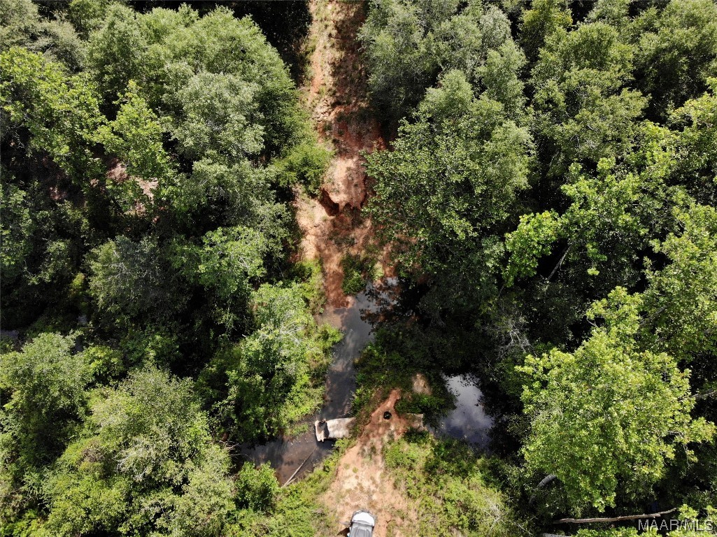318.5acre Goose Hollow Road