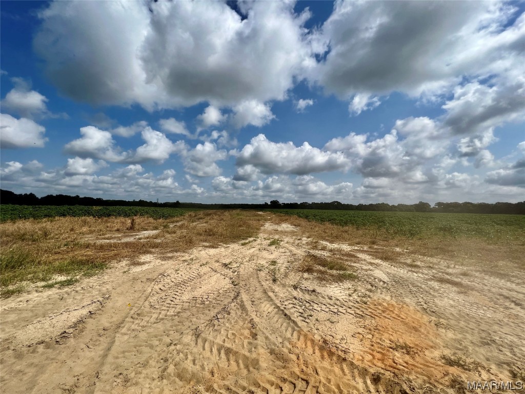 318.5acre Goose Hollow Road