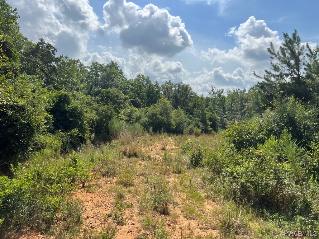 318.5acre Goose Hollow Road