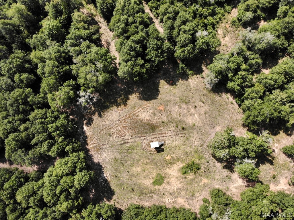 318.5acre Goose Hollow Road