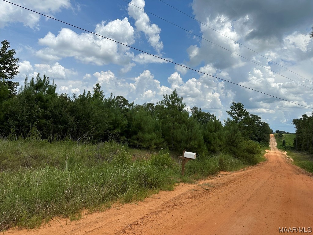 4.6 acres Old Elba Road