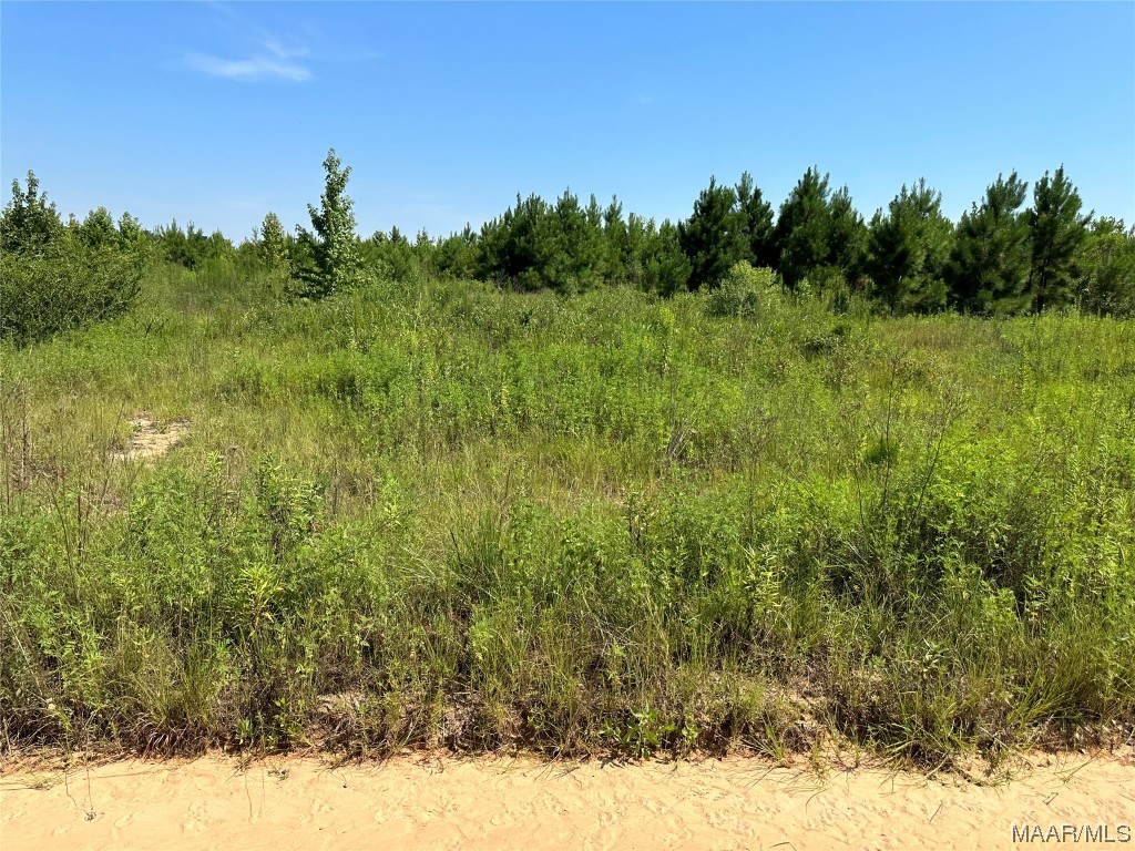 4.6 acres Old Elba Road