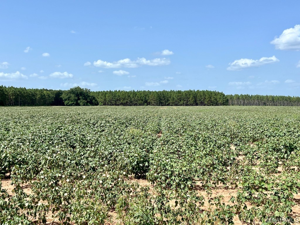 9ac Highbluff Road