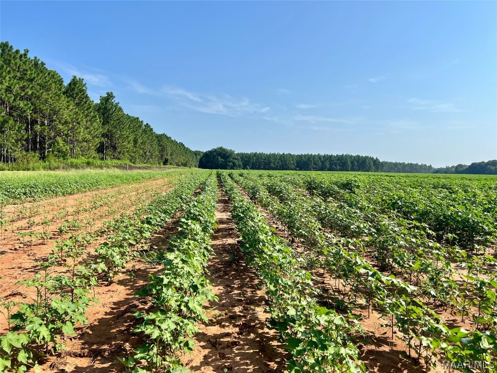 9ac Highbluff Road