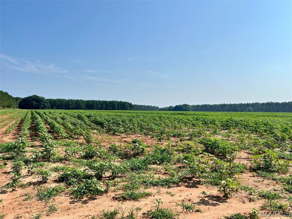 9ac Highbluff Road