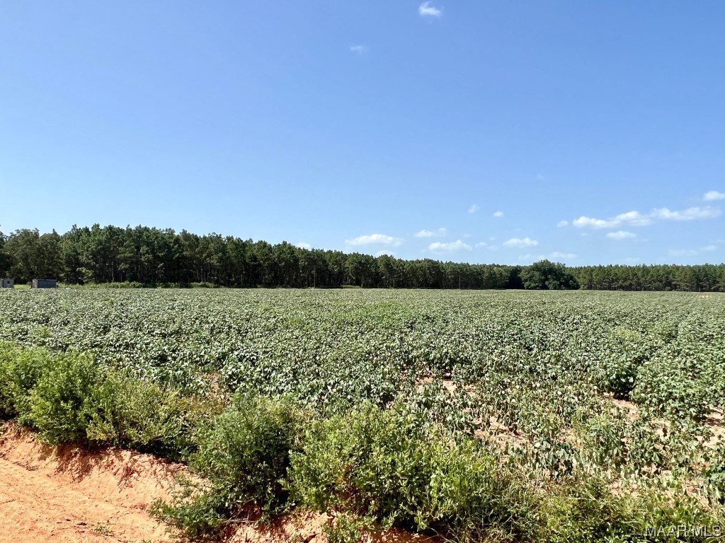 9ac Highbluff Road