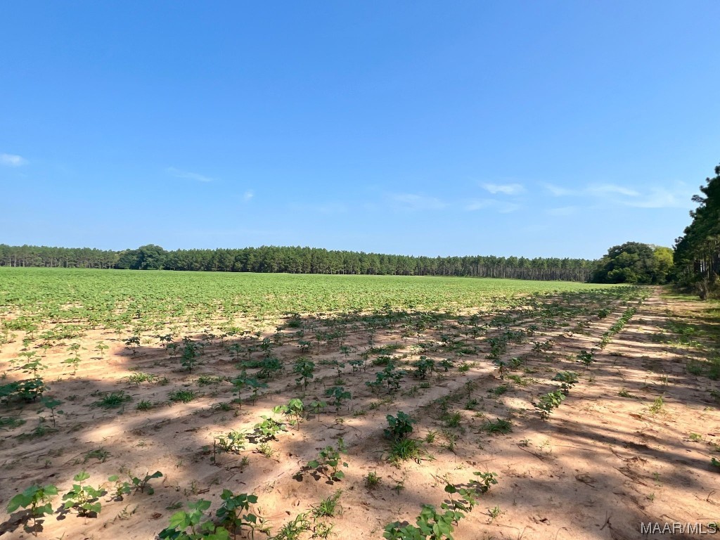 9ac Highbluff Road