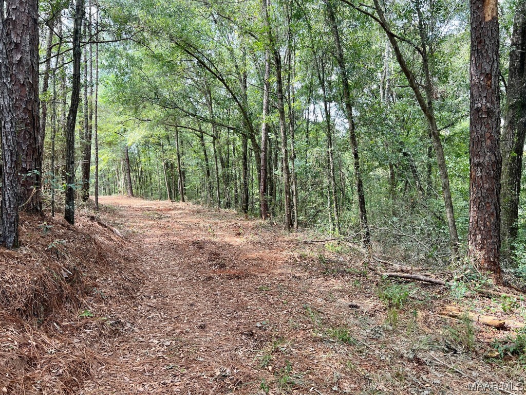 29.5ac County Road 41 .