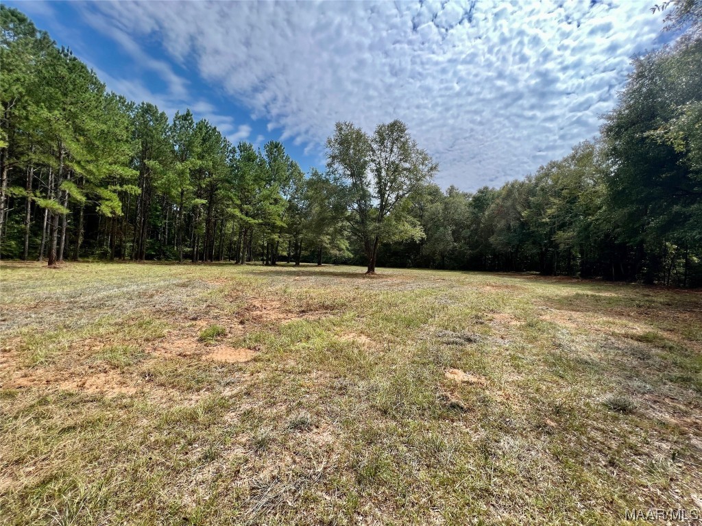 29.5ac County Road 41 .
