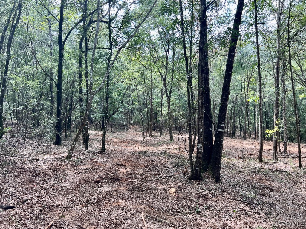 29.5ac County Road 41 .