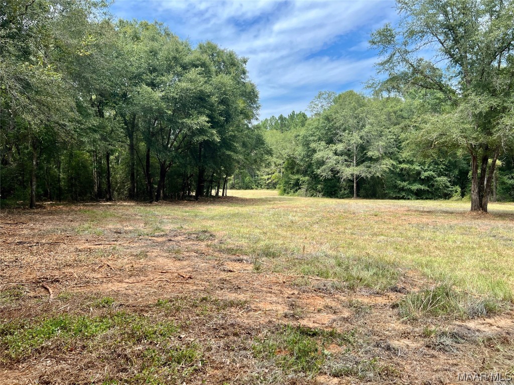 29.5ac County Road 41 .
