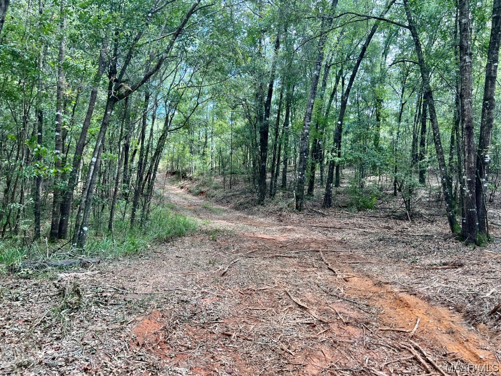 29.5ac County Road 41 .