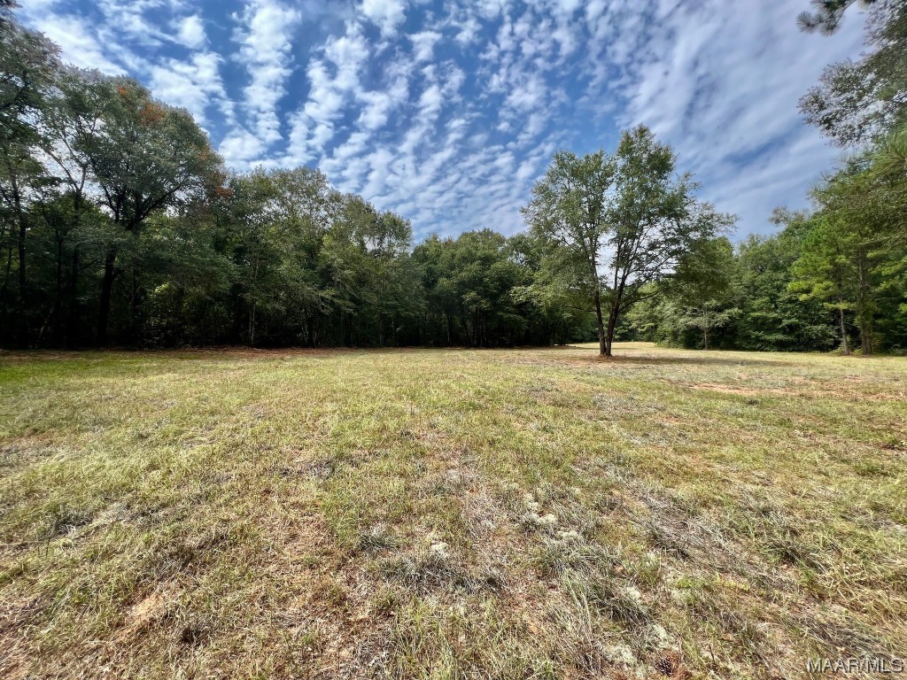 29.5ac County Road 41 .