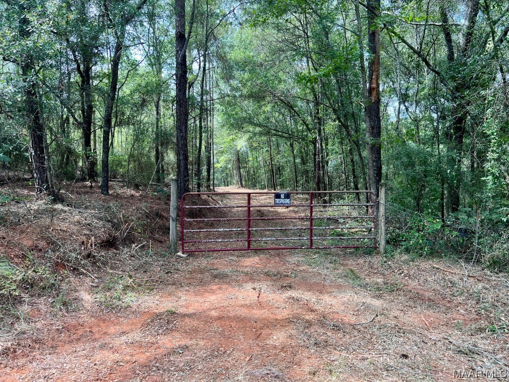 29.5ac County Road 41 .