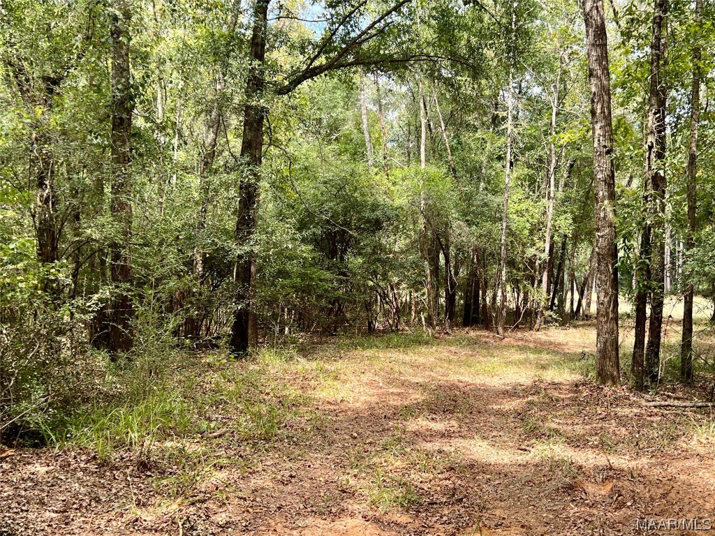 29.5ac County Road 41 .