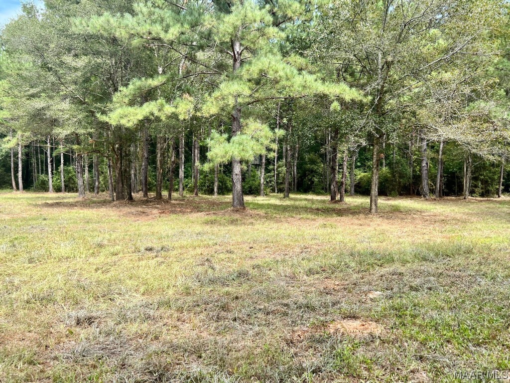 29.5ac County Road 41 .