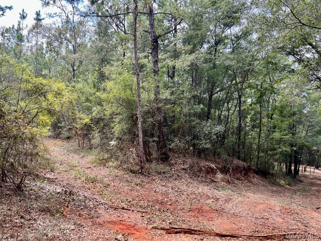 29.5ac County Road 41 .