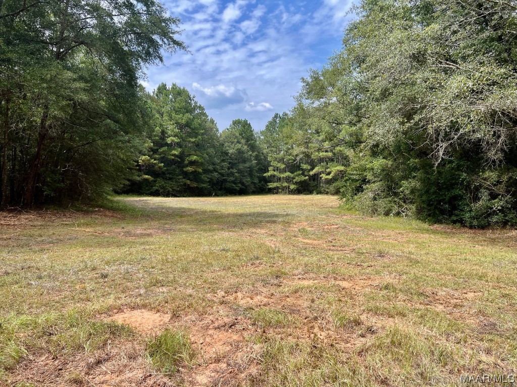 29.5ac County Road 41 .