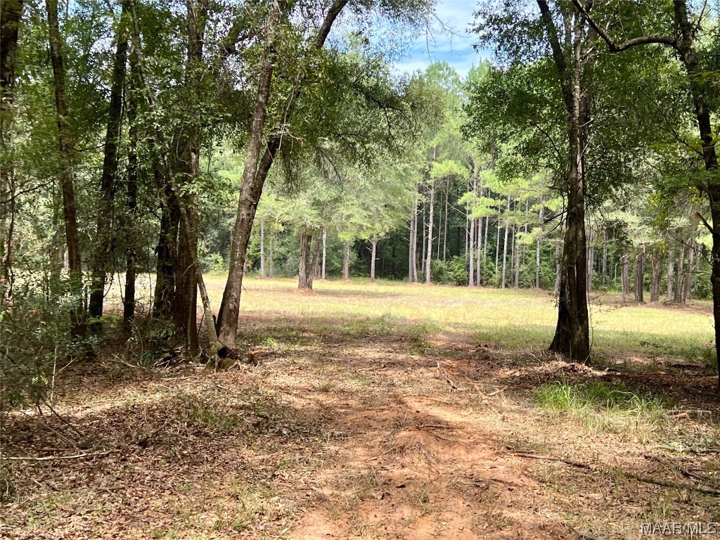 29.5ac County Road 41 .