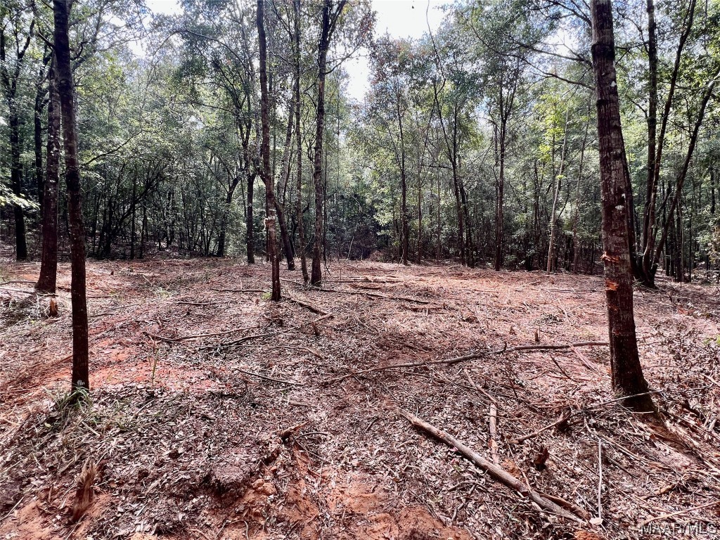 29.5ac County Road 41 .