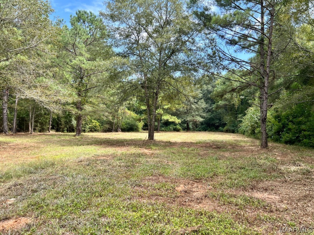 29.5ac County Road 41 .