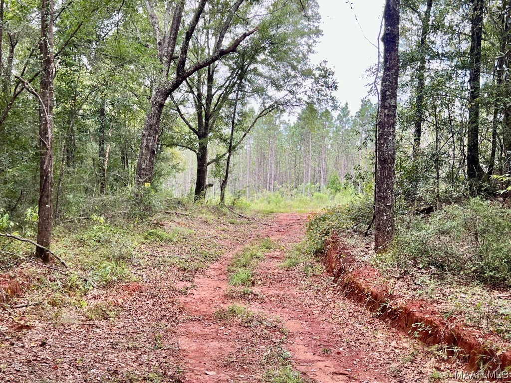 23.5ac County Road 61 .