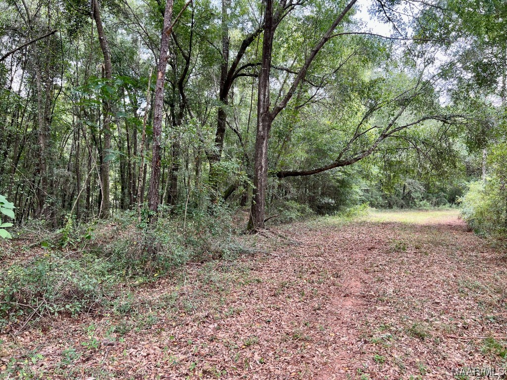 23.5ac County Road 61 .