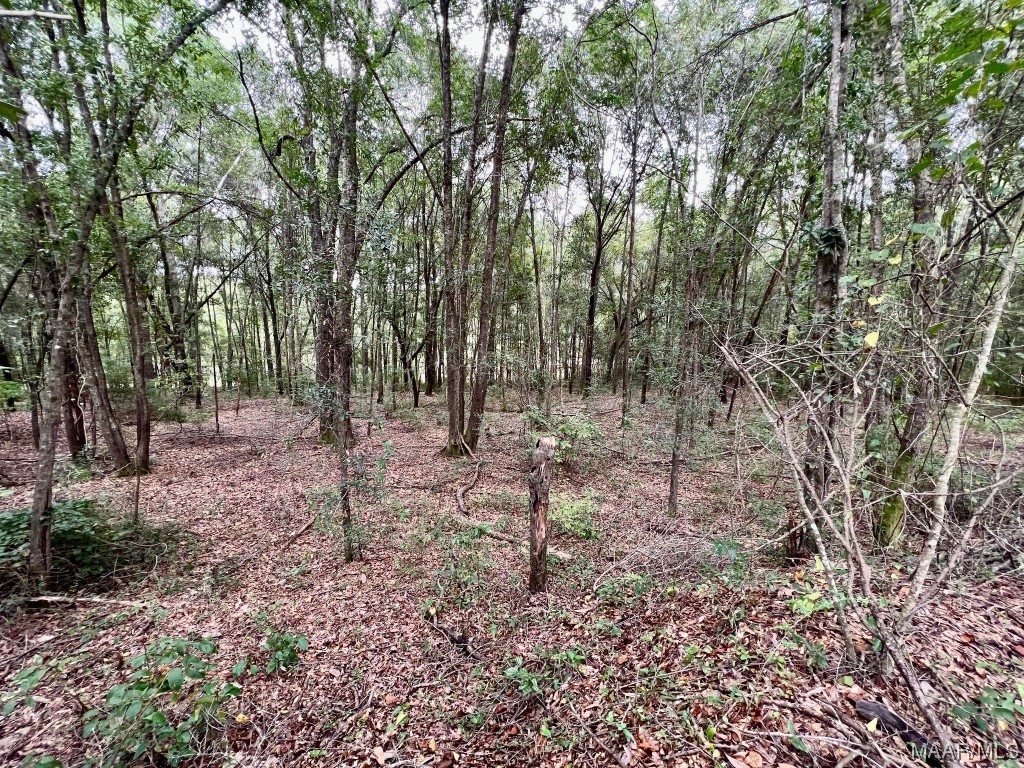 23.5ac County Road 61 .