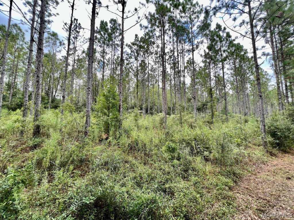23.5ac County Road 61 .