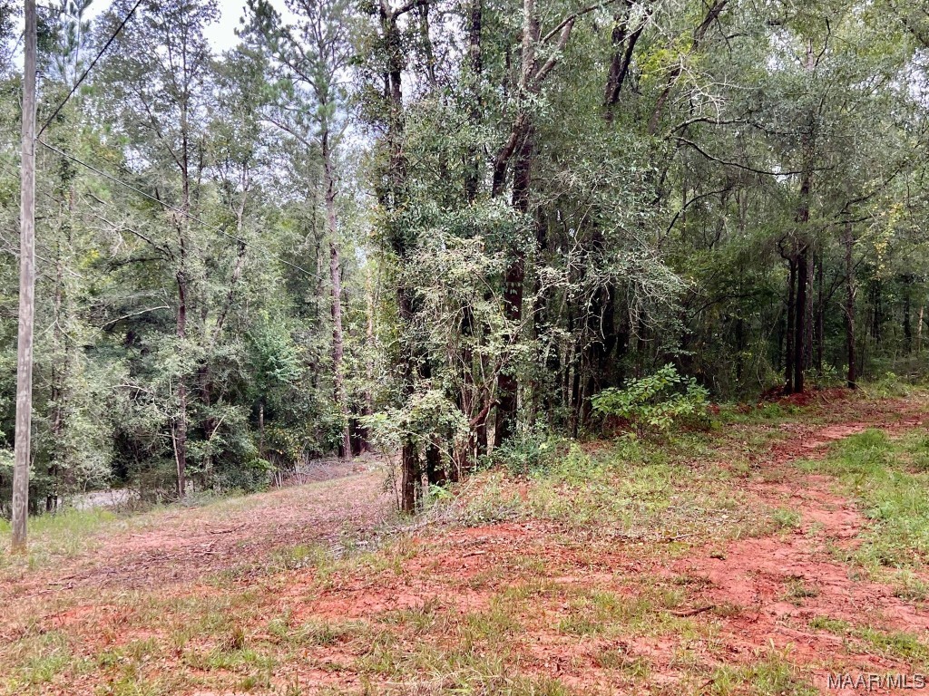 23.5ac County Road 61 .