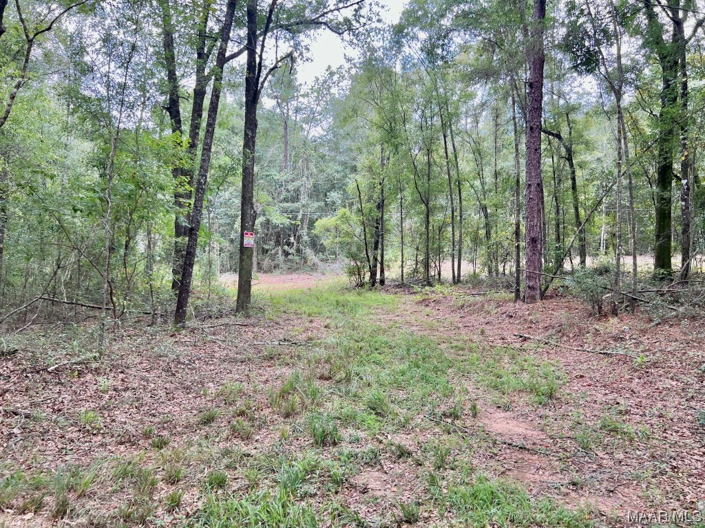 23.5ac County Road 61 .