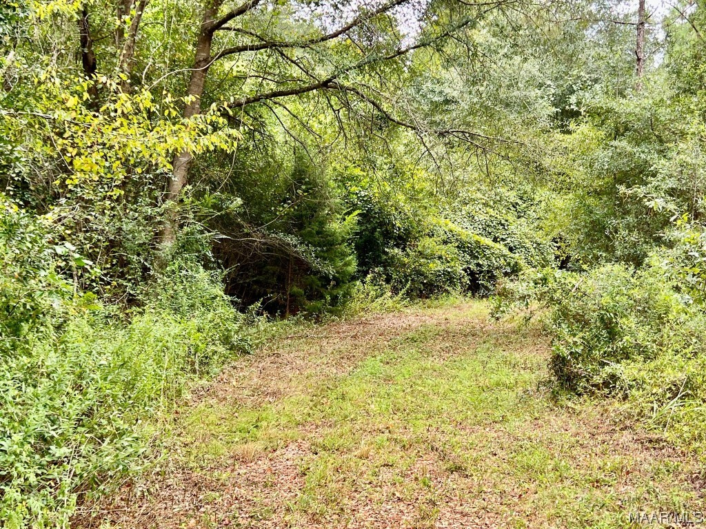 23.5ac County Road 61 .