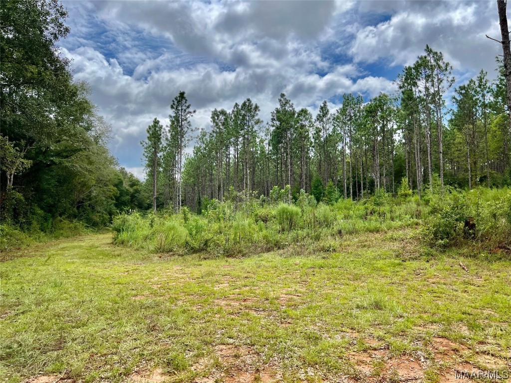 23.5ac County Road 61 .
