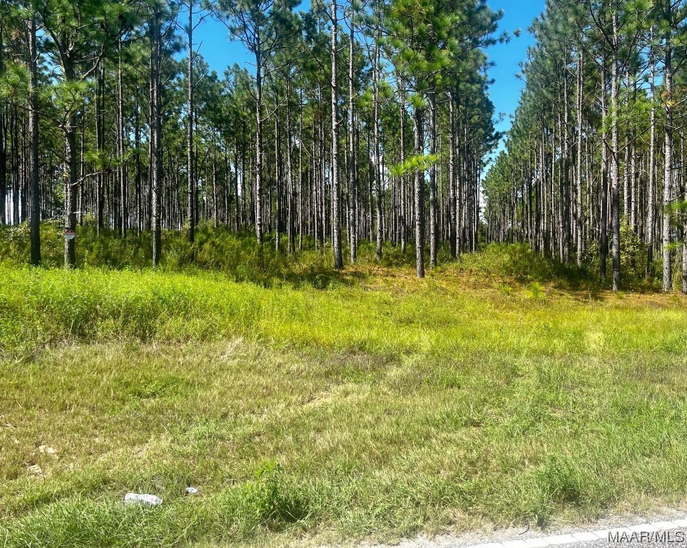 42.26 County Road 41 .