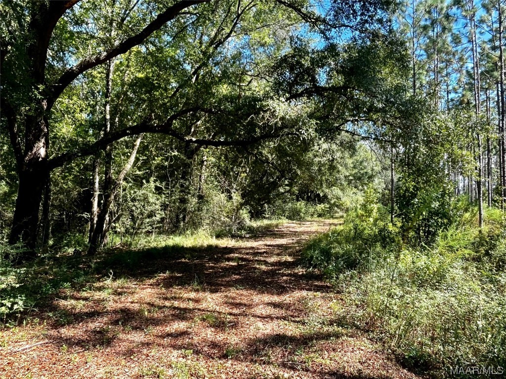 42.26 County Road 41 .