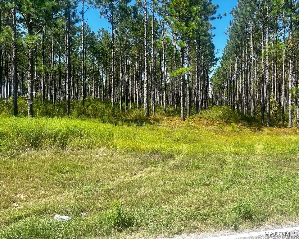 42.26 County Road 41 .