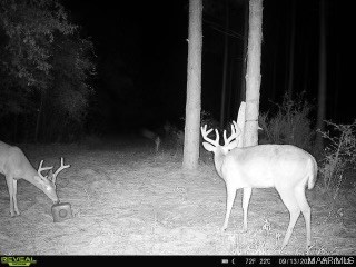 44ac County Rd 41 .