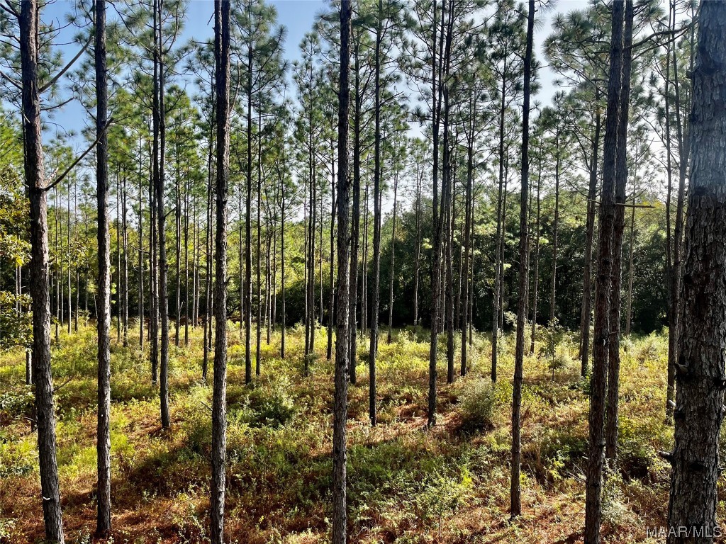 44ac County Rd 41 .