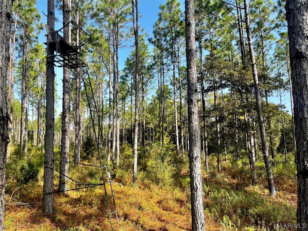 44ac County Rd 41 .