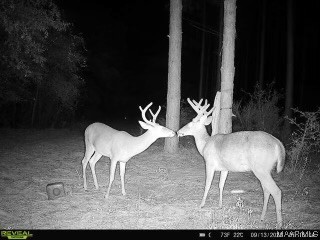 44ac County Rd 41 .