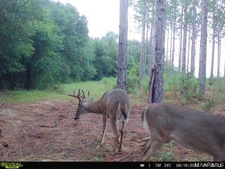 44ac County Rd 41 .