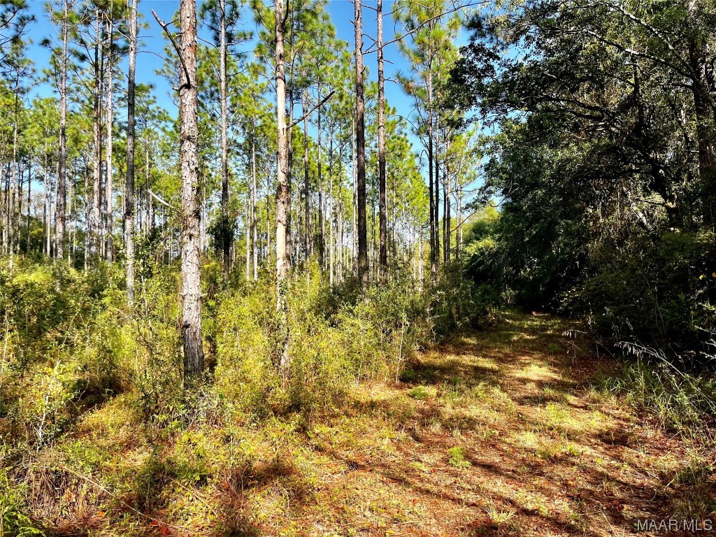 44ac County Rd 41 .