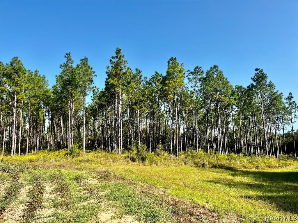 44ac County Rd 41 .