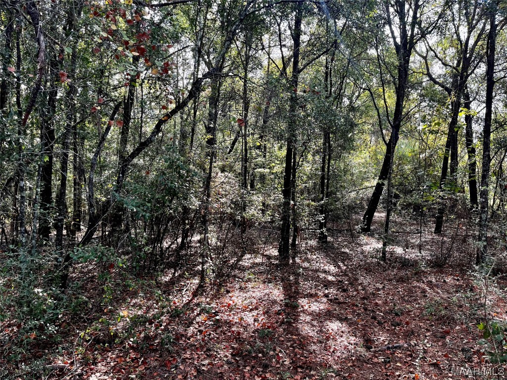 44ac County Rd 41 .