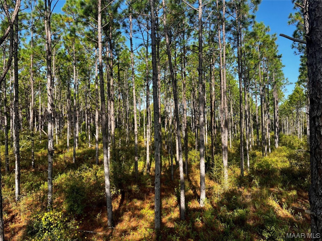 44ac County Rd 41 .