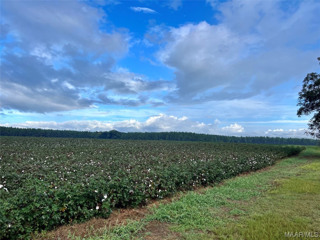 44ac County Rd 41 .